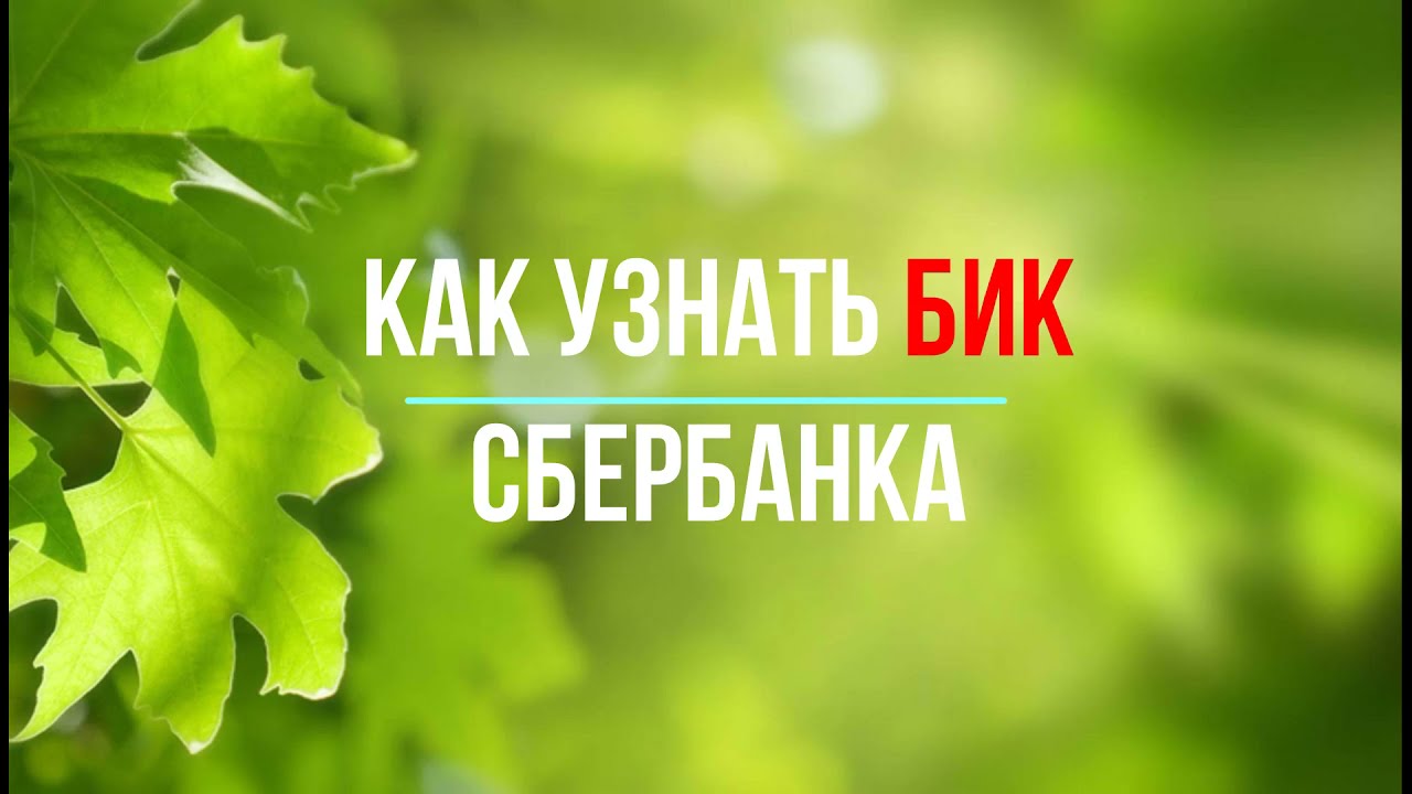 Как узнать БИК банка через приложение